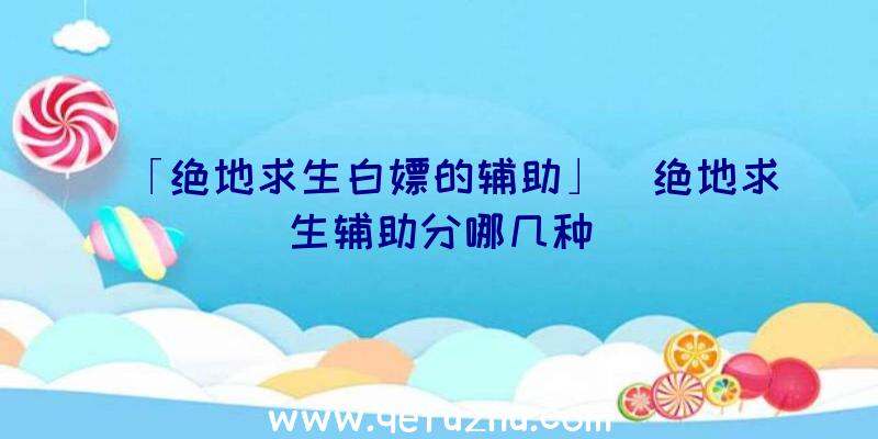 「绝地求生白嫖的辅助」|绝地求生辅助分哪几种